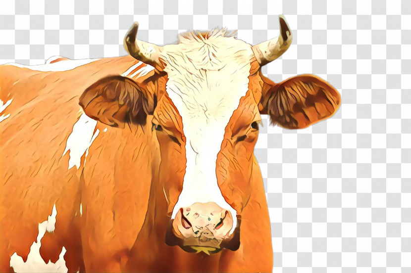 Horn Bovine Snout Cow-goat Family Livestock Transparent PNG