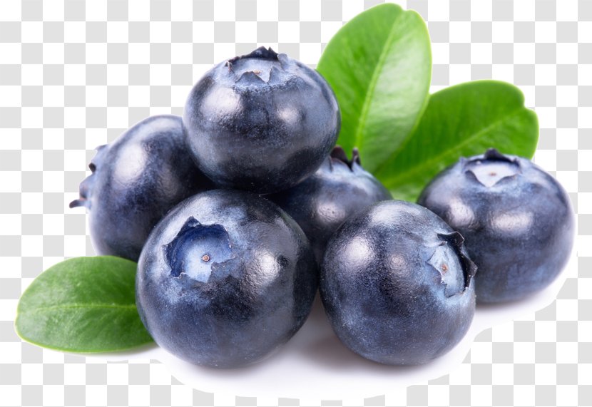 Juice Blueberry Dried Fruit Vaccinium Angustifolium - Ripening - Blueberries Transparent PNG