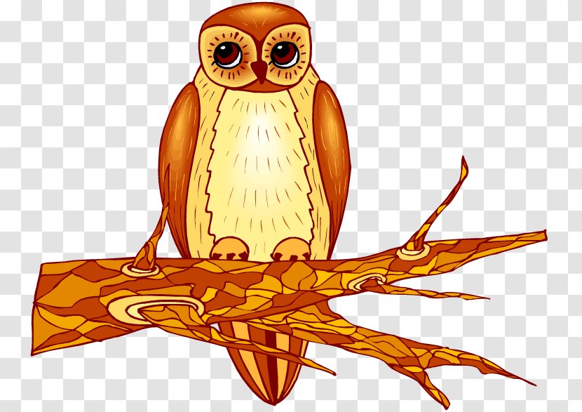 Owl Clip Art - Vertebrate Transparent PNG
