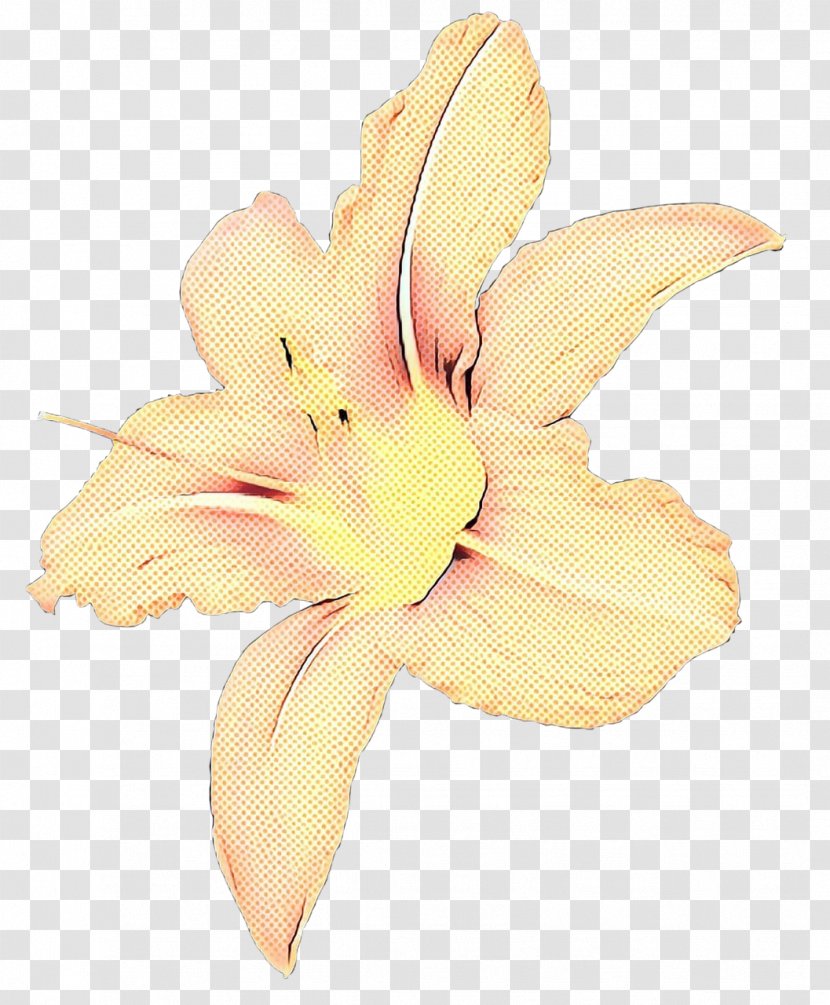 Lily Flower Cartoon - Hippeastrum - Rhododendron Transparent PNG