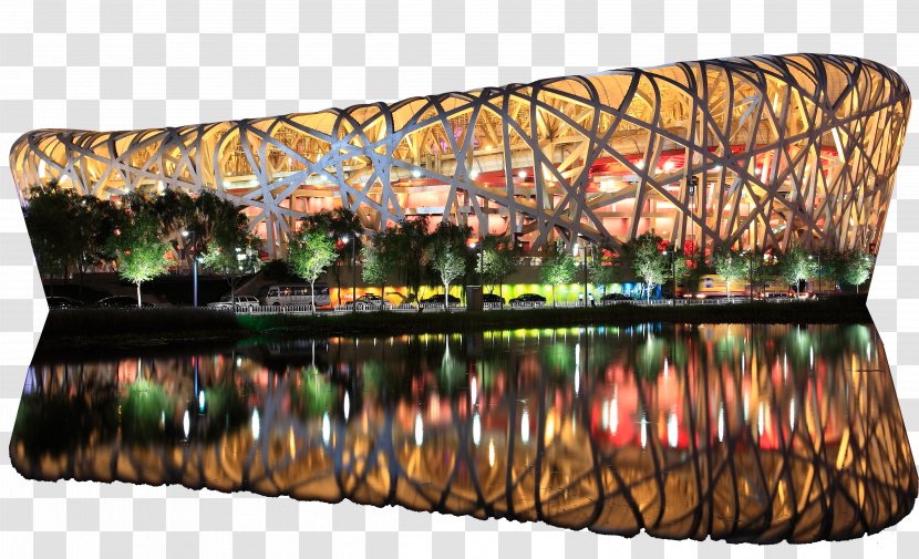 Beijing National Stadium Edible Birds Nest - Bird - Night Transparent PNG