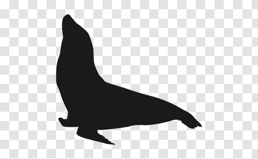 California Sea Lion Silhouette - Black And White - Nature Animals Seal Transparent PNG