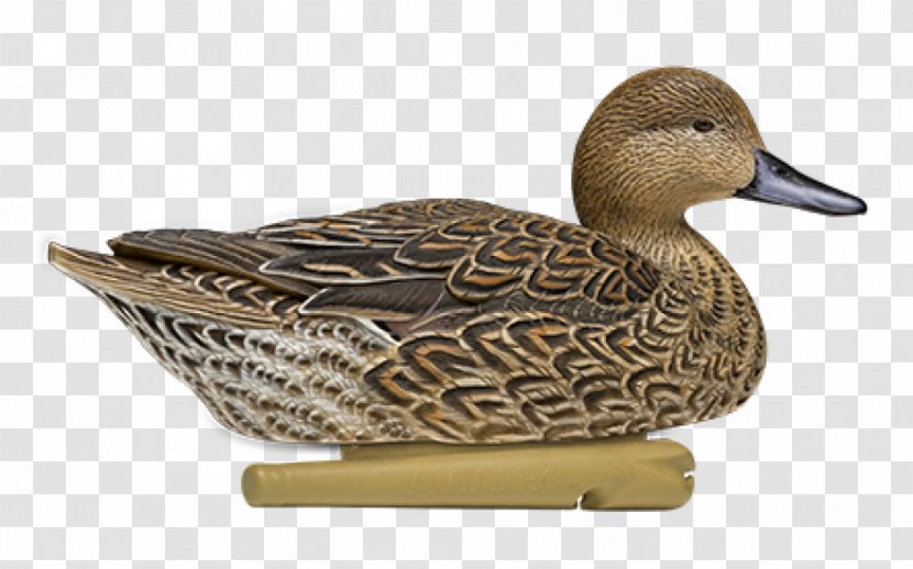 Mallard Duck Decoy Northern Pintail - Dakota Llc Transparent PNG