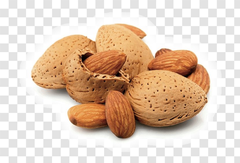 Almond Nut Food Eating Flavor - Nuts Seeds Transparent PNG