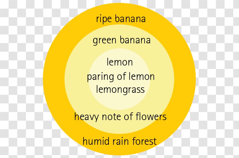 Logo Font Organization Brand Happiness - Yellow - Australian Rainforest Banana Tree Transparent PNG