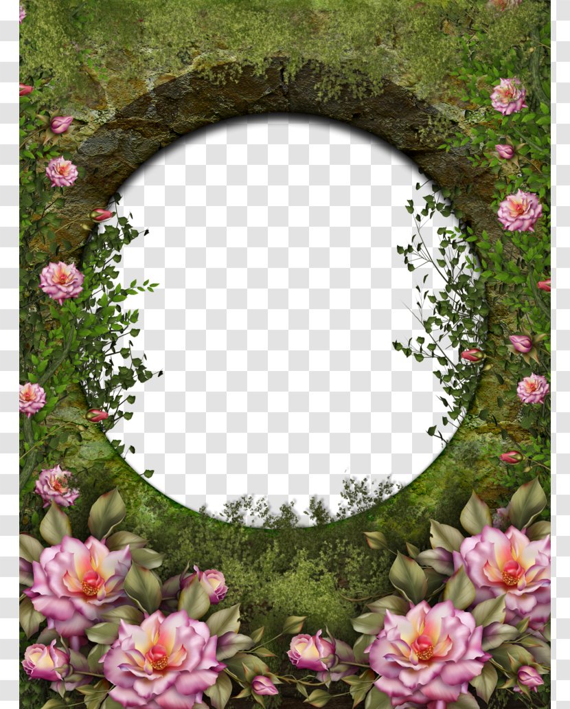 Rose Garden Roses - Order - Photo Frame Transparent PNG