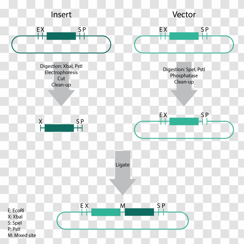 Line Angle Diagram Transparent PNG