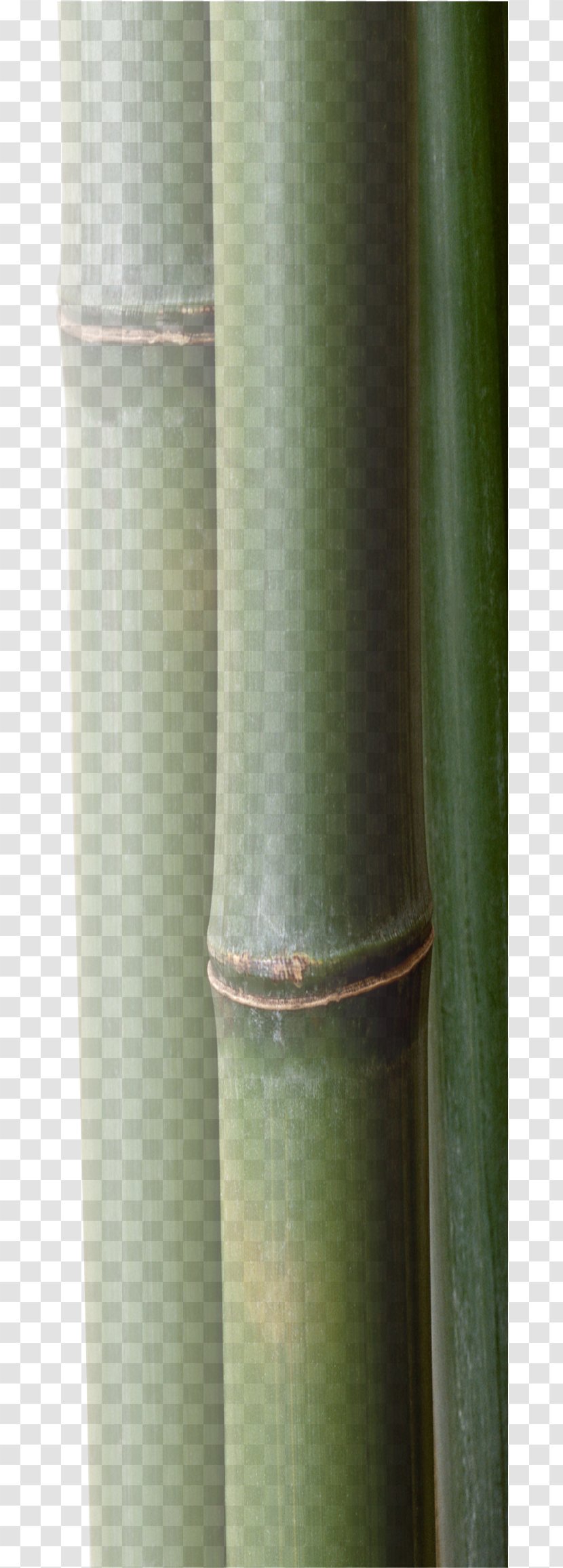 Plant Stem Cylinder - Bamboo Transparent PNG