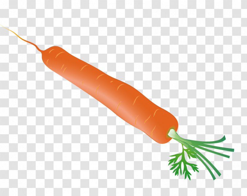 Carrot - Orange - Vector Transparent PNG