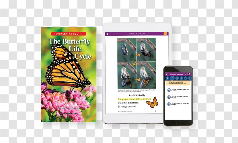 Reading E-book Education Learning - Multimedia - Book Transparent PNG