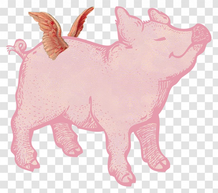 Domestic Pig Christmas When Pigs Fly Clip Art - Ornament Transparent PNG