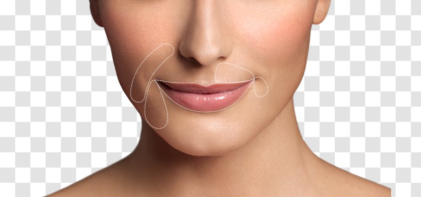 Lip Augmentation Restylane Wrinkle Botulinum Toxin - Close Up Transparent PNG