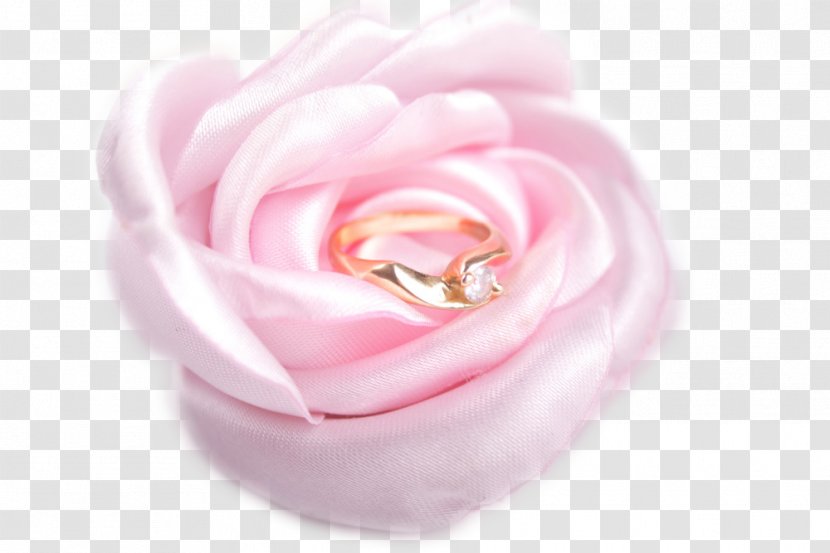 Beach Rose Garden Roses Wedding Invitation Ring - Order - Diamond Transparent PNG
