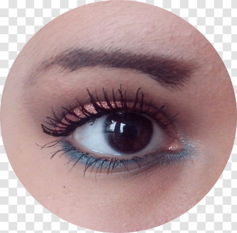 Eyelash Extensions Eye Shadow Iris Close-up - Tree Transparent PNG