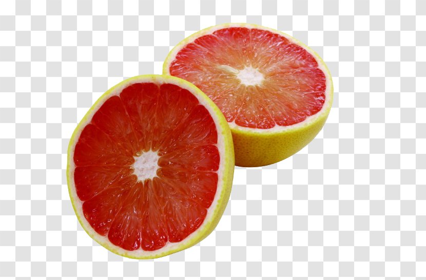 Grapefruit Juice Blood Orange Pomelo - Watercolor - Sweet Transparent PNG