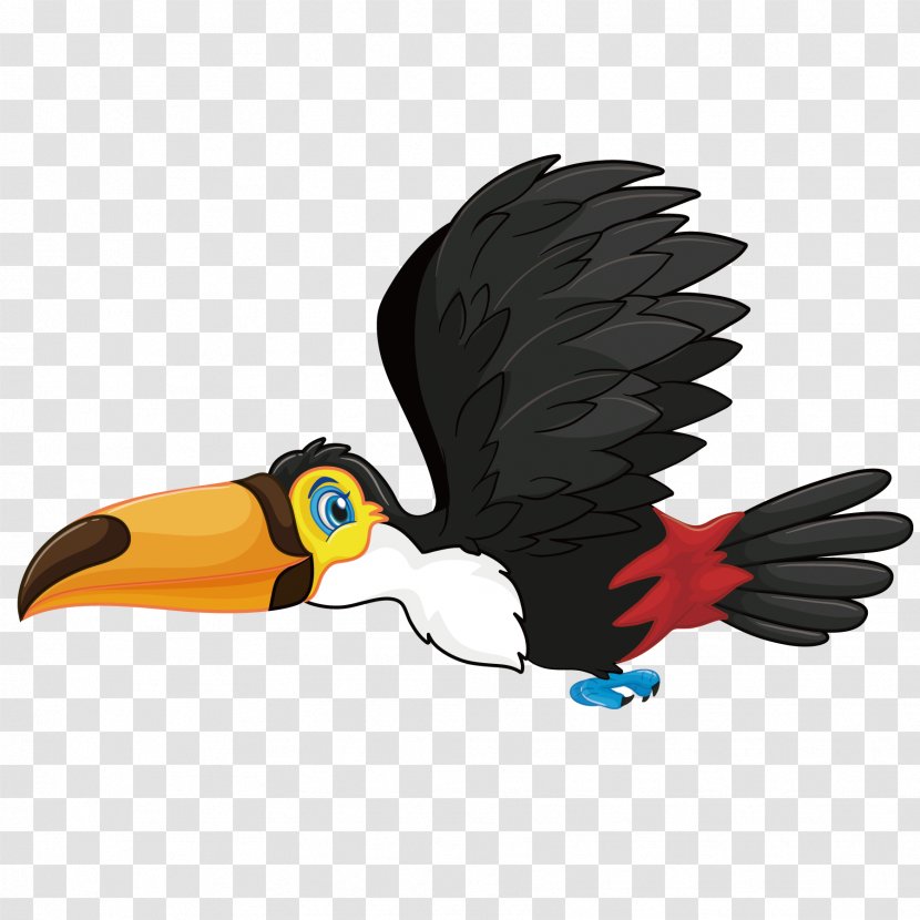 Flight Bird Illustration - Toucan - Flying The Transparent PNG