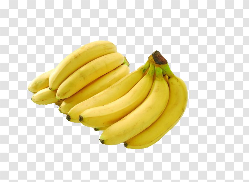 China Banana Nutrient Musa Basjoo Food - Family Transparent PNG