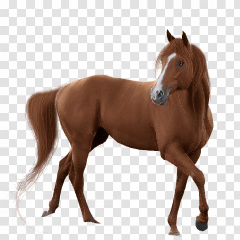 Horse Clip Art Image Mare - Animal Figure Transparent PNG