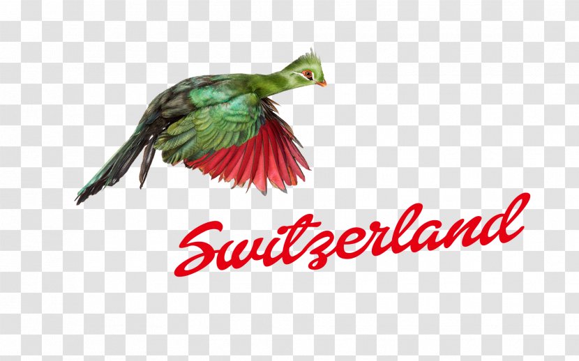 Logo Switzerland Font - Name Transparent PNG