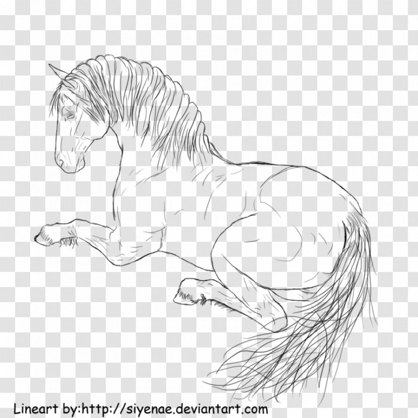 Mane Line Art Pony Mustang Coloring Book - Fauna - Laying Down Transparent PNG