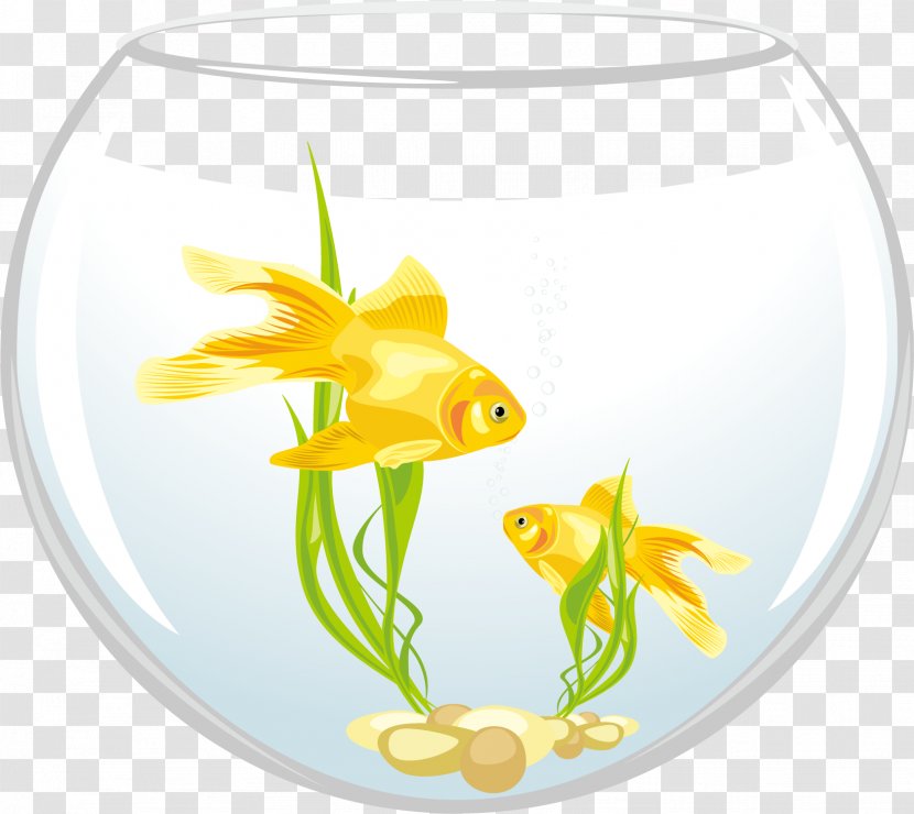 Carassius Auratus Royalty-free Clip Art - Marine Biology - Vector Round Fish Tank Transparent PNG