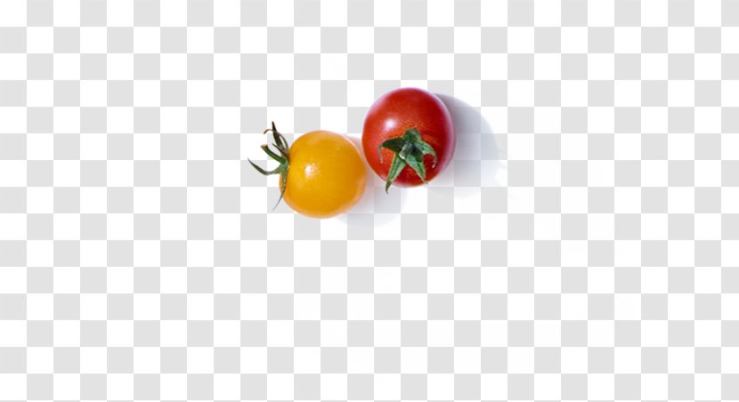 Bush Tomato Vegetarian Cuisine Diet Food - Fruit Tea Transparent PNG