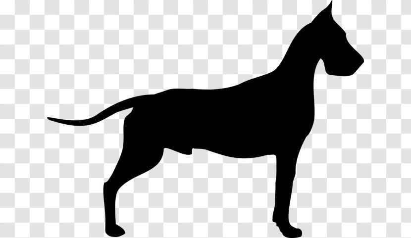 Great Dane Dogue De Bordeaux Old Danish Pointer Poodle Clip Art - Breed - Dog Number Transparent PNG