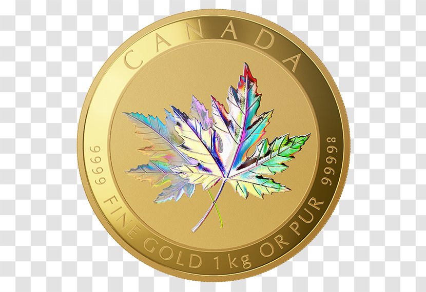 Canada Canadian Gold Maple Leaf Coin - Silver - Hologram Transparent PNG