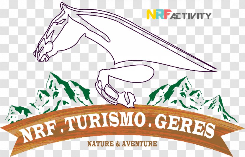 Horse NRF Turismo Gerês Serra Do Soajo Peneda - Vertebrate Transparent PNG