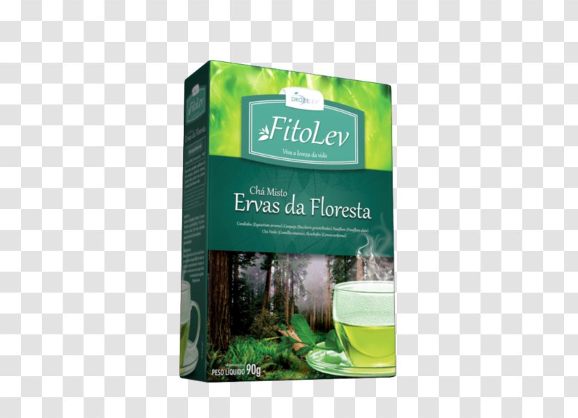 Green Tea Herb Hibiscus Earl Grey - Antioxidant Transparent PNG