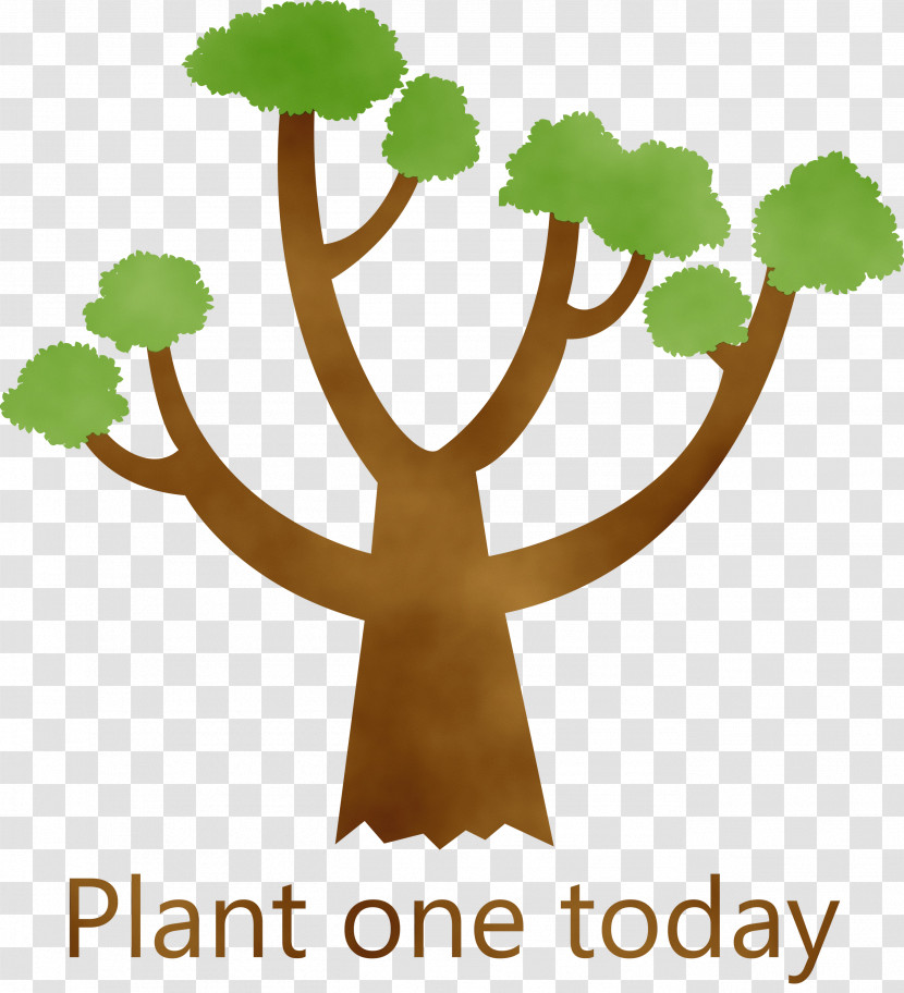 Plant Stem Leaf Flower Meter Tree Transparent PNG