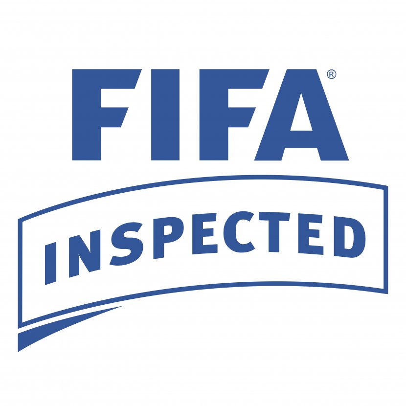 2010 FIFA World Cup Beach Soccer Football Logo - Fifa Transparent PNG