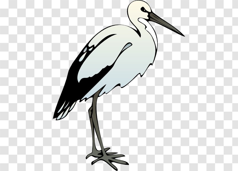 American White Ibis Clip Art - African Sacred - Cliparts Transparent PNG