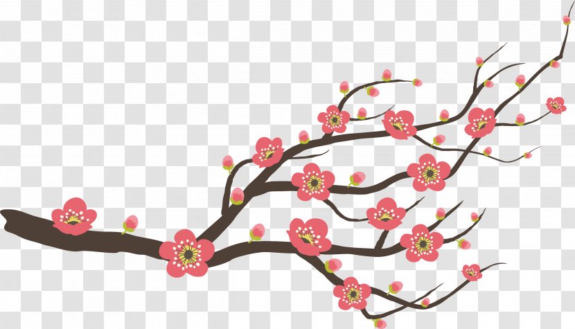 Plum Flower - Branch Transparent PNG