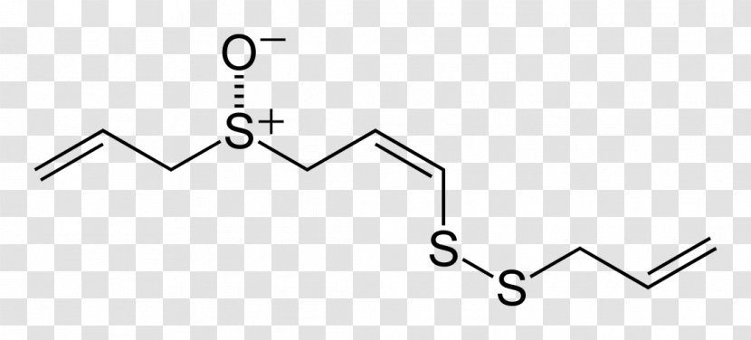 Ajoene Garlic Allicin Diallyl Disulfide - Frame Transparent PNG