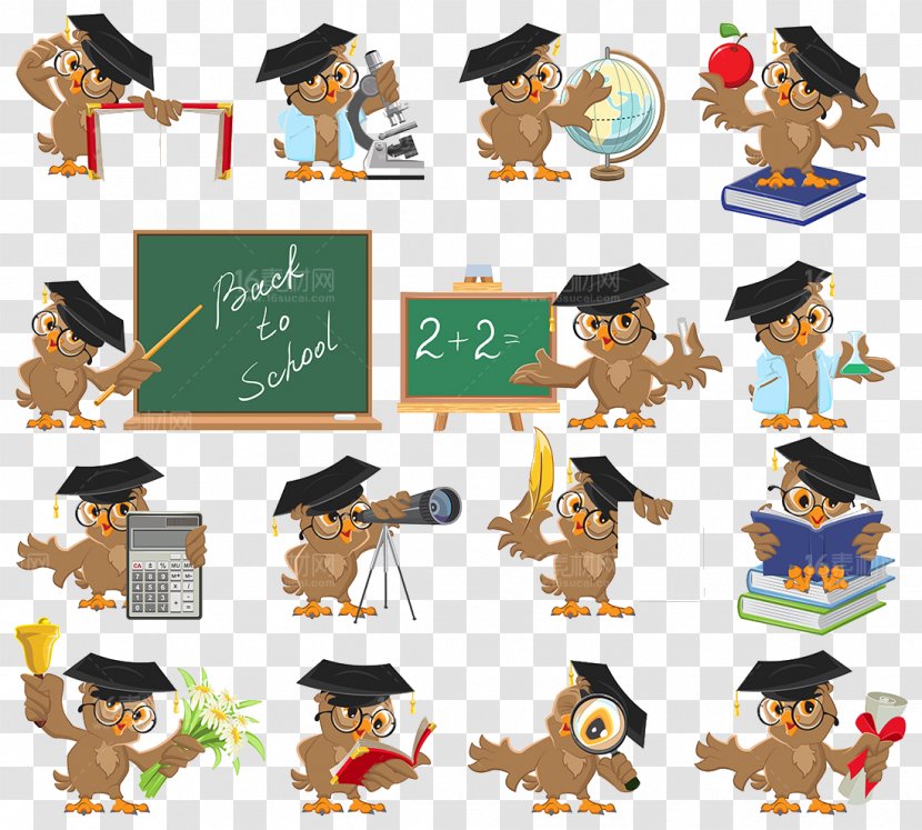 Owl Illustration - Pedagogy Transparent PNG