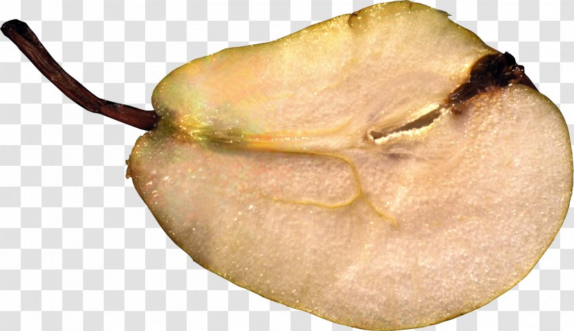 Fruit Food Pear Transparent PNG