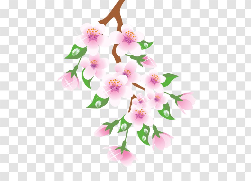 Branch Flower Floral Design Clip Art - Cherry Blossom - Flowers Blooming In Spring Transparent PNG