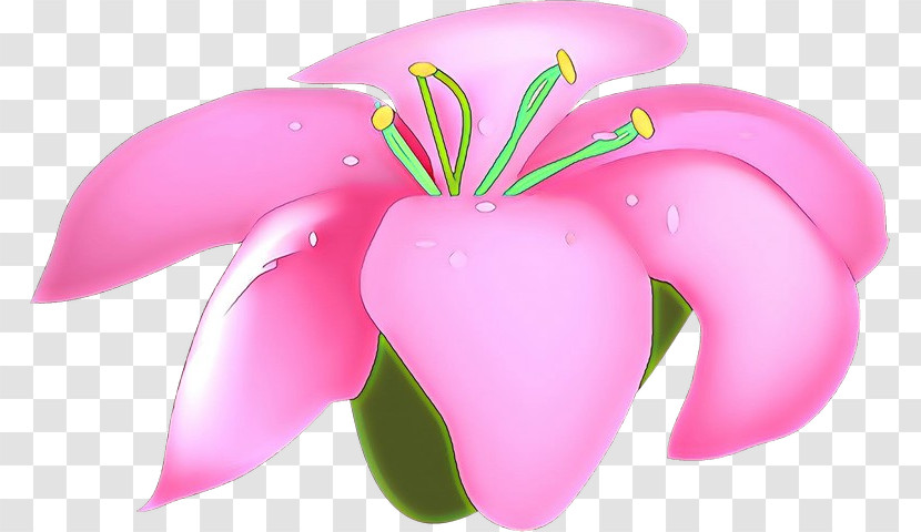 Pink Petal Flower Plant Frangipani Transparent PNG