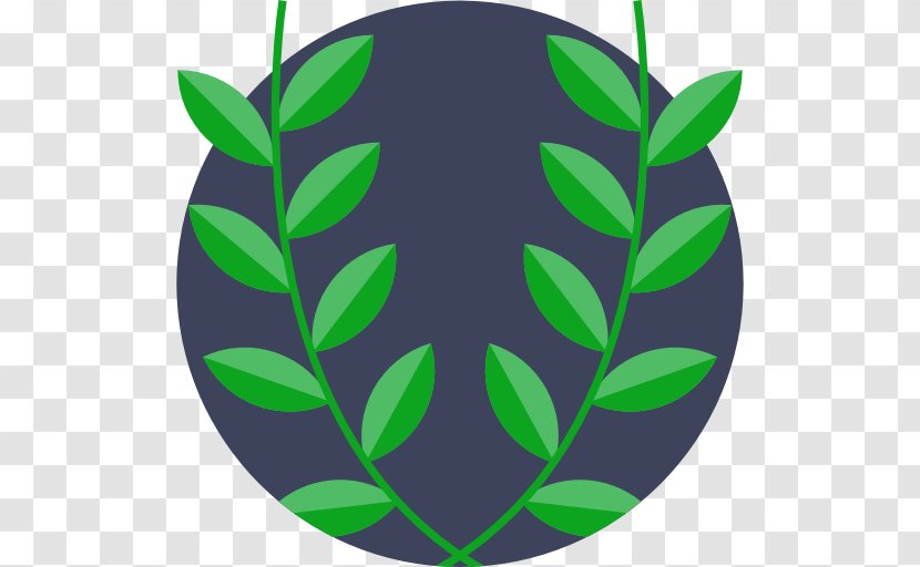 Symbol - Bay Laurel - Leaf Transparent PNG