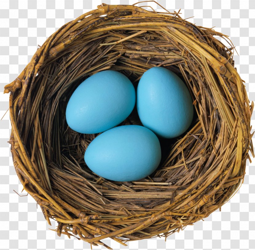 Bird Nest Egg - Royaltyfree - Nest,Eggs Transparent PNG