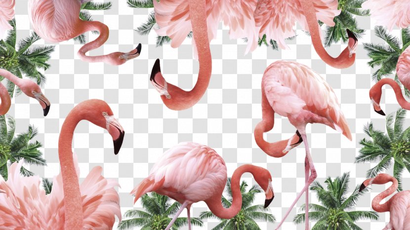 Fashion Blog Model Show Make-up Artist - Lifestyle - Flamingo Transparent PNG