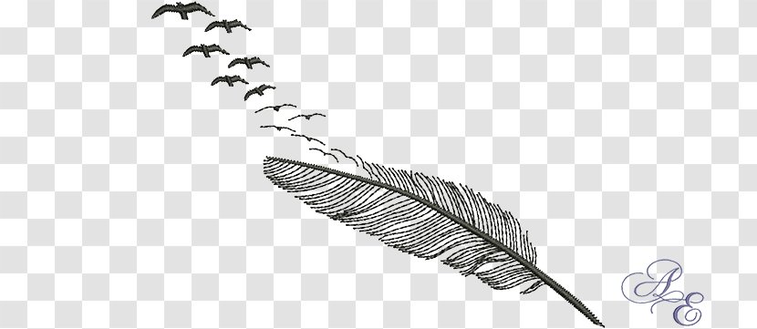 Feather Bird Of Prey Goose Flight - Eagle Transparent PNG