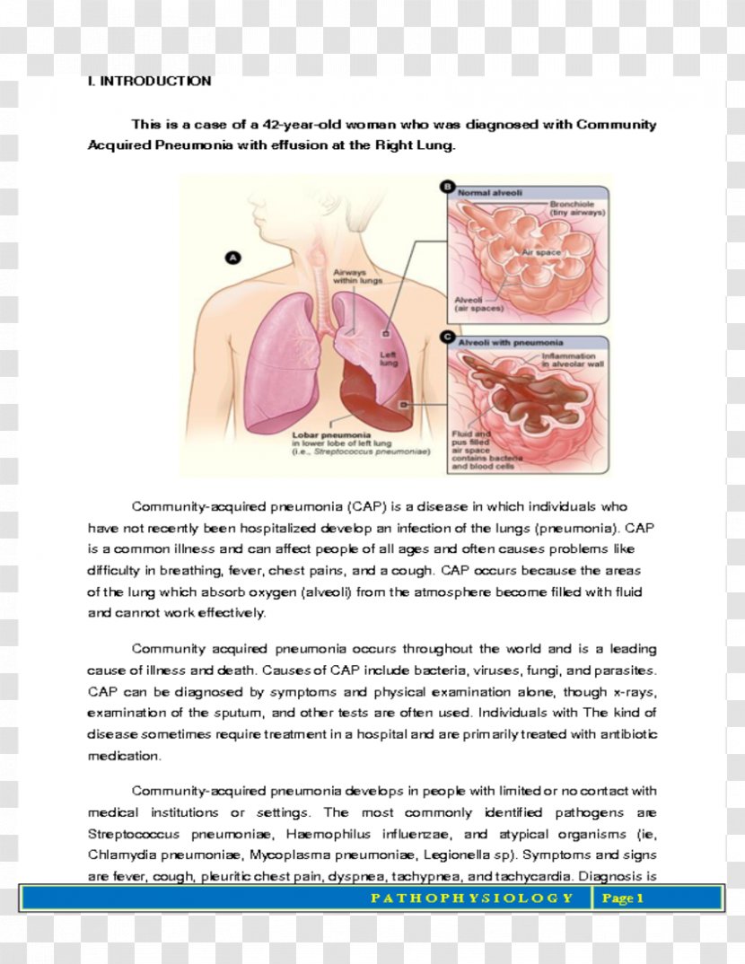 Pneumonia Tuberculosis Lung Disease Infection - Flower - Health Transparent PNG