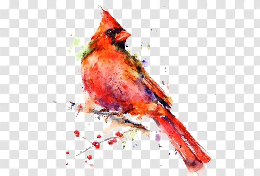 Bird Watercolor Painting Drawing Canvas Print - Art Museum - Hand-painted Parrot Transparent PNG
