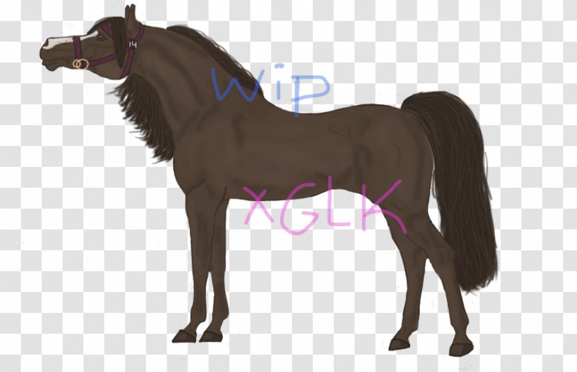 Mane Mustang Stallion Foal Mare - Horse Supplies Transparent PNG