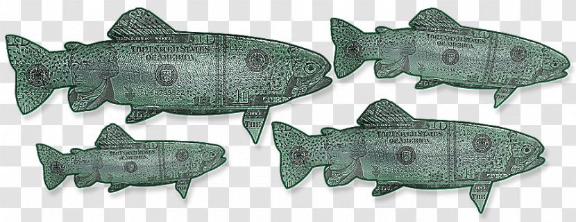 Squaliform Sharks Animal Fish - Lake Trout Transparent PNG