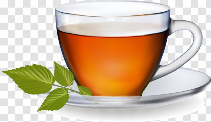 Green Tea Coffee Euclidean Vector - Stock Photography - Cool Cup Saucer Pattern Transparent PNG