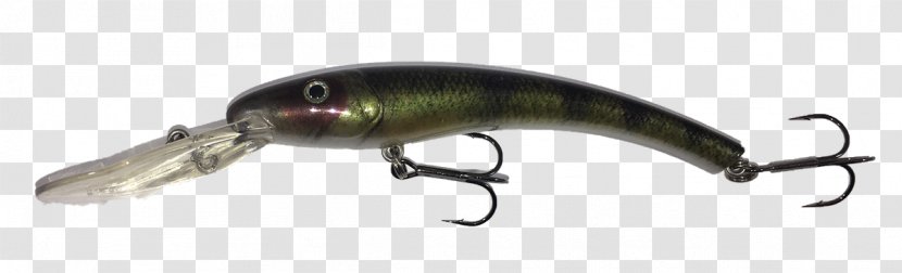 American Shad Alewife Walleye Fish Banana - Domka Outdoors Transparent PNG