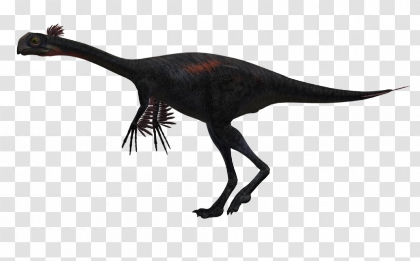 Tyrannosaurus Spinosaurus Velociraptor Troodon Dinosaur - Iguanodon Transparent PNG